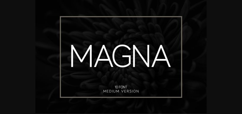 Magna Medium Font Poster 3