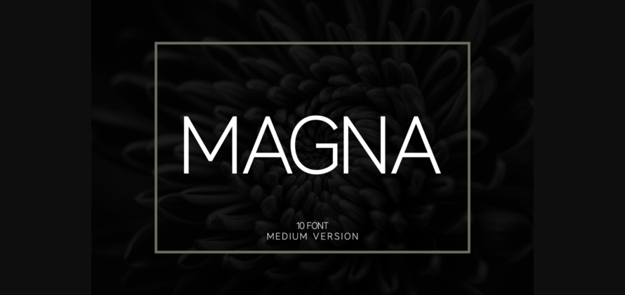 Magna Medium Font Poster 3