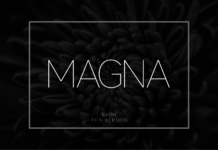 Magna Thin Font Poster 1