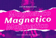 Magnetico Font Poster 1