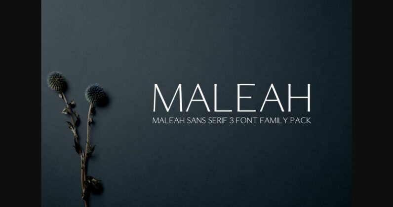 Maleah Font Poster 3