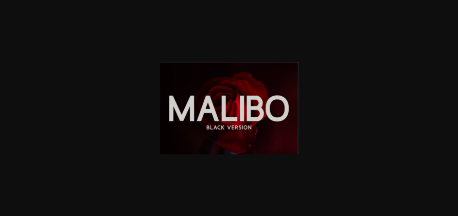 Malibo Black Font Poster 3