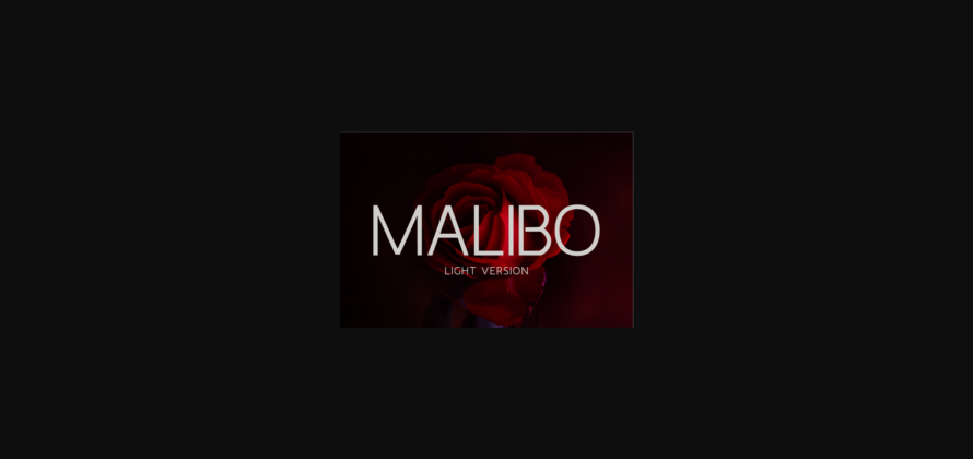 Malibo Light Font Poster 3