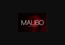 Malibo Light Font Poster 1