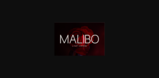 Malibo Light Font Poster 1