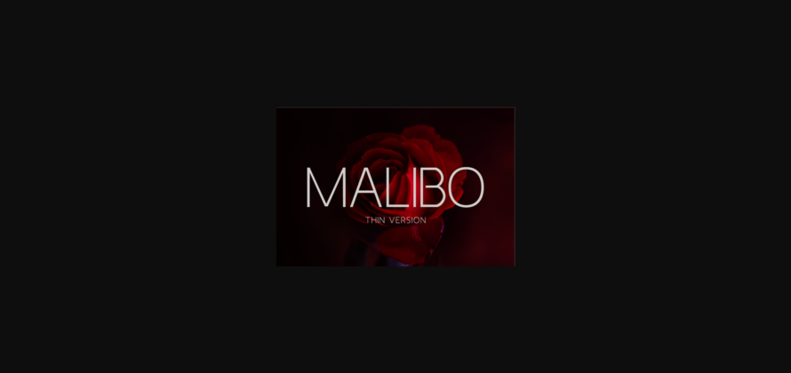 Malibo Thin Font Poster 3