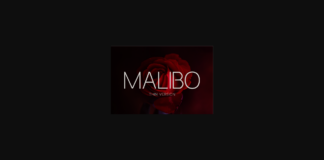 Malibo Thin Font Poster 1