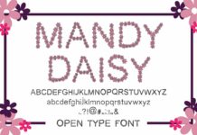 Mandy Daisy Font Poster 1