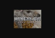 Mangalica Font Poster 1