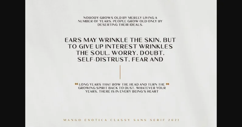 Mango Exotica Font Poster 7