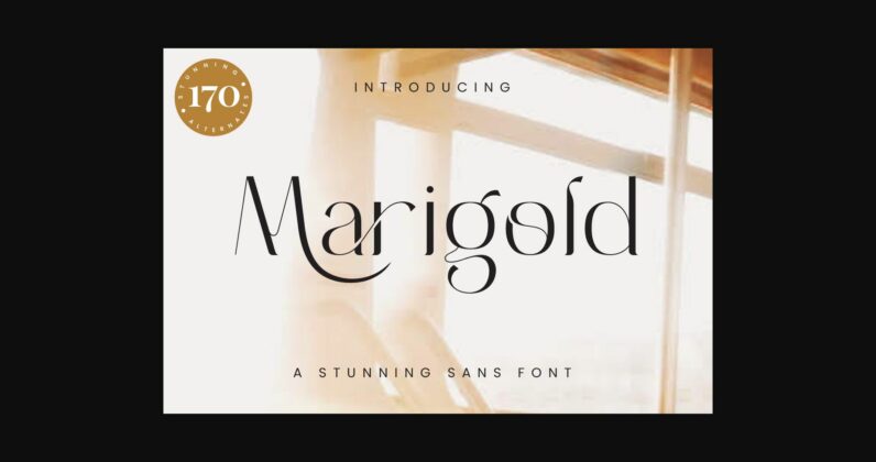 Marigold Font Poster 3