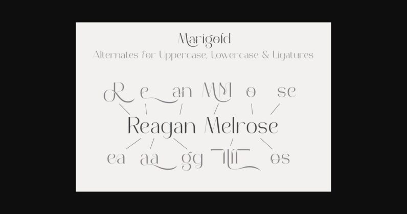 Marigold Font Poster 8