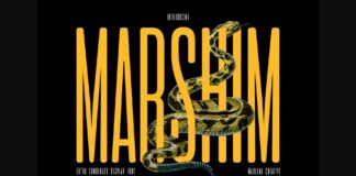 Marshim Font Poster 1