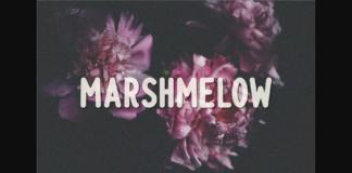 Marshmelow Font Poster 1