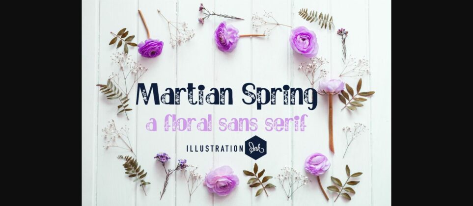 Martian Spring Font Poster 3