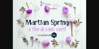 Martian Spring Font Poster 1