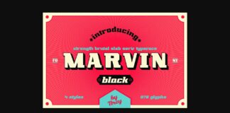 Marvin Black Poster 1