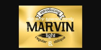 Marvin Light Poster 1