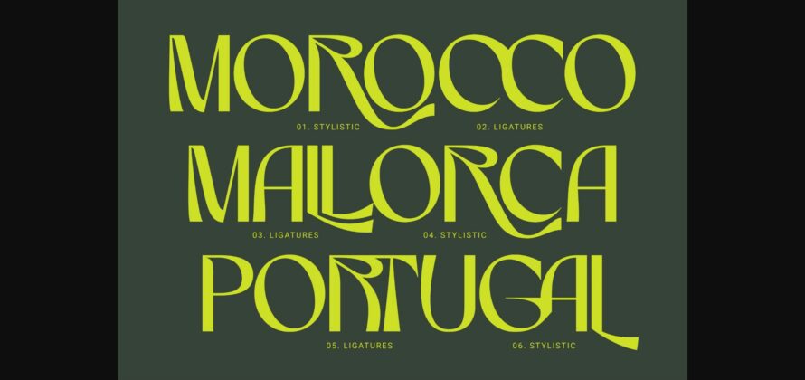 Marvio Font Poster 10