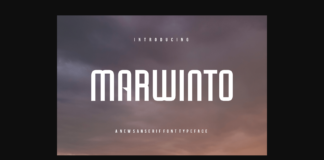 Marwinto Font Poster 1