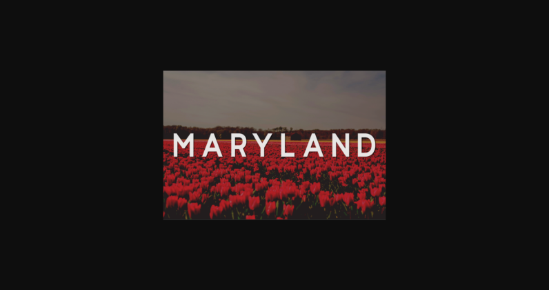 Maryland Font Poster 3