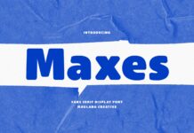 Maxes Font Poster 1