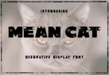 Mean Cat Font Poster 1