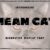 Mean Cat Font