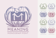 Meaning Font Poster 1