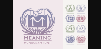 Meaning Font Poster 1