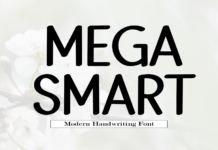 Mega Smart Font Poster 1