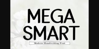 Mega Smart Font Poster 1