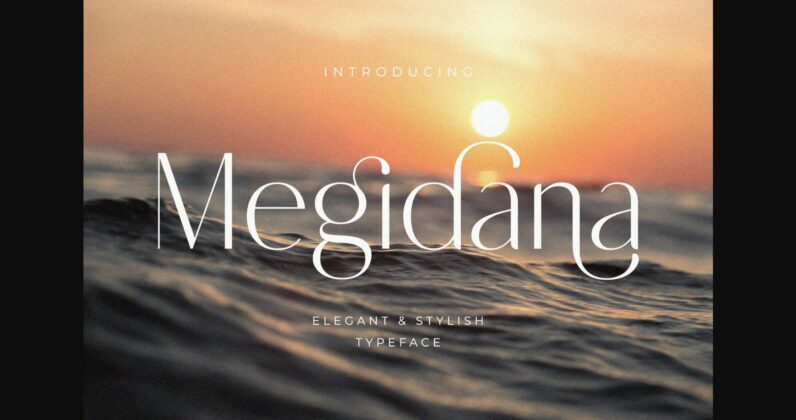 Megidana Font Poster 3