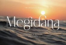 Megidana Font Poster 1