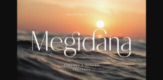 Megidana Font Poster 1