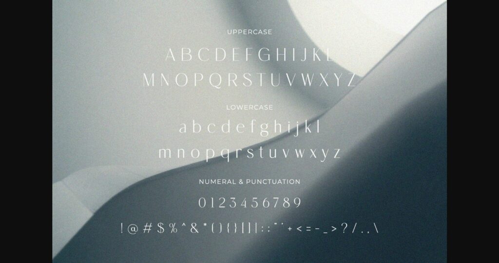 Megidana Font Poster 8