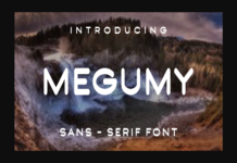 Megumy Font Poster 1