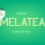 Melatea Font