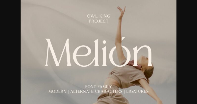 Melion Font Poster 3