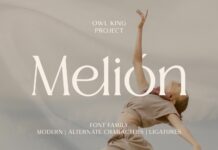 Melion Font Poster 1