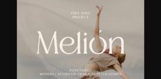 Melion Font Poster 1