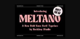 Meltano Font Poster 1