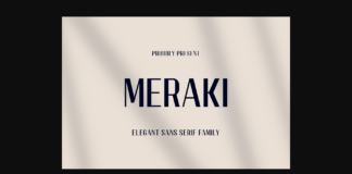 Meraki Font Poster 1