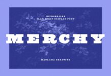 Merchy Font Poster 1