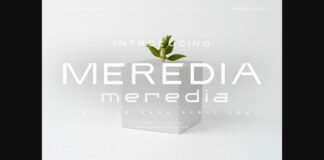 Meredia Font Poster 1