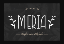 Meria Font Poster 1