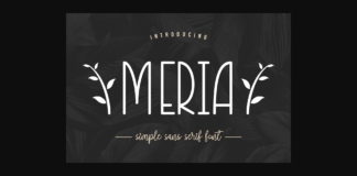 Meria Font Poster 1