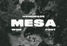 Mesa Font Poster 1