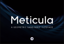 Meticula Font Poster 1