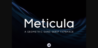 Meticula Font Poster 1